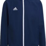 Adidas Entrada 22 Veste Homme Sportswear Matériaux Recyclés-0