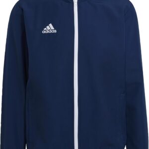 Adidas Entrada 22 Veste Homme Sportswear Matériaux Recyclés-0