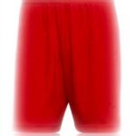 Short de sport adidas Entrada 22 Homme polyester recyclé