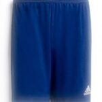 Short de sport adidas Entrada 22 Homme polyester recyclé